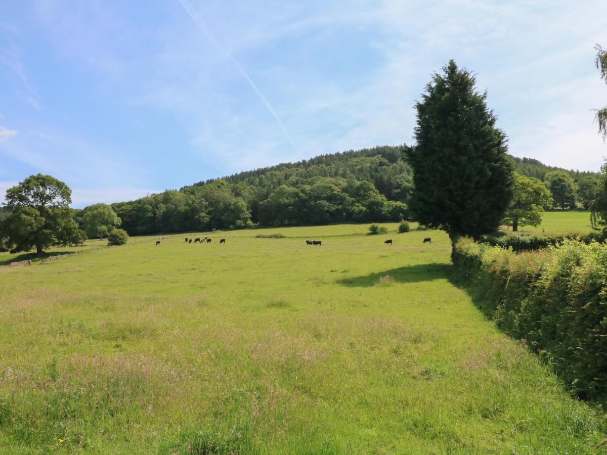 Lees Moor Cottage Matlock  Buitenkant foto
